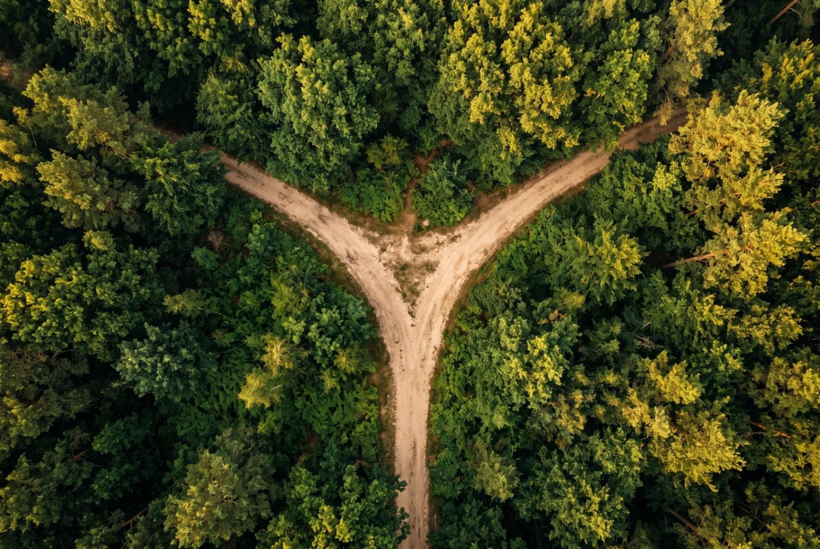 Woman choosing her path — freedom, lifestyle